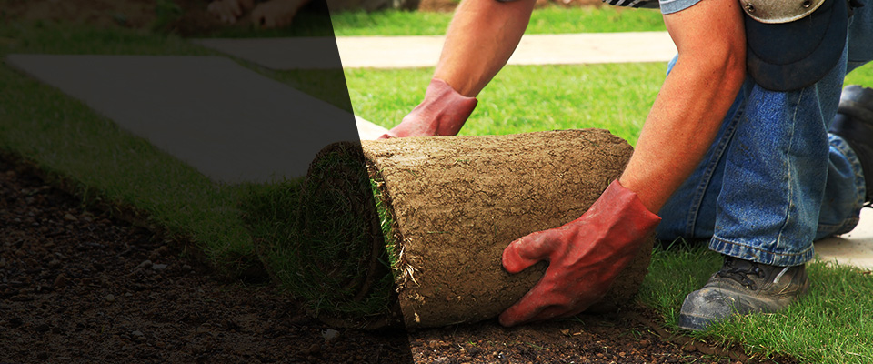 Hubertus Landscapers